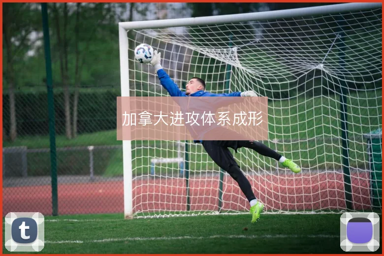 加拿大进攻体系成形