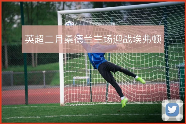 英超二月桑德兰主场迎战埃弗顿